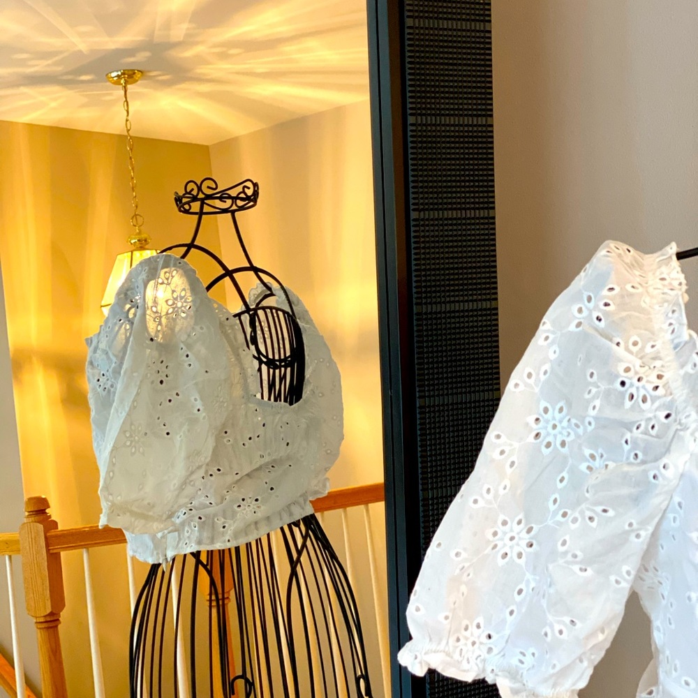 Crop eyelet puff sleeve Top